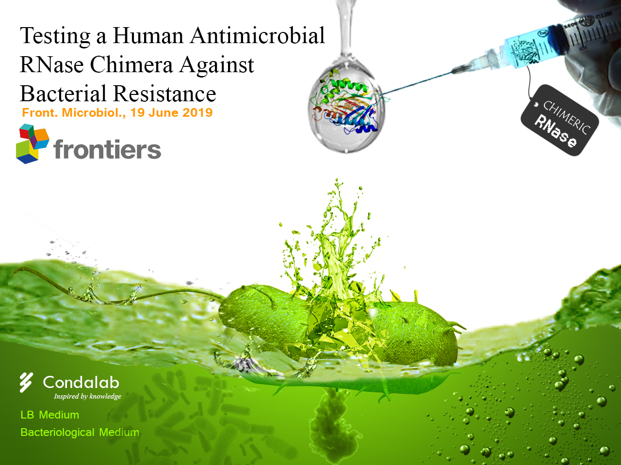 RNase کایمریک آنتی بیوتیک نسل آینده