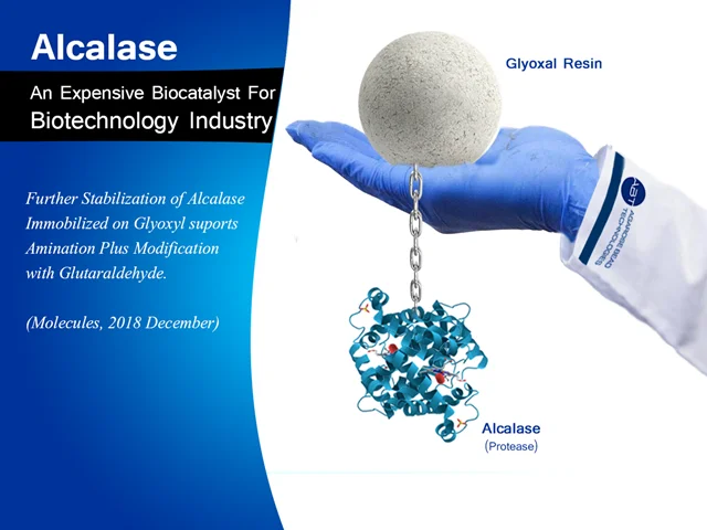 استفاده از رزین گلی اکسال در پروسه بهینه سازی آنزیم آلکالاز-Alcalase