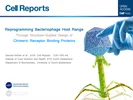 کاربرد و زیست فناوری باکتریوفاژ به منظور تولید پپتید خاص-ژورنال cell report
