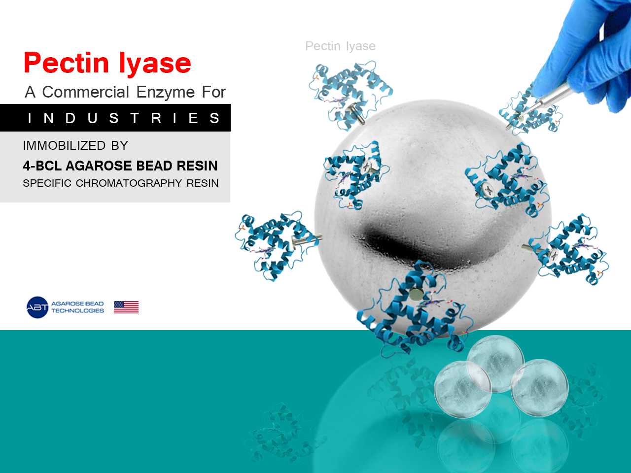 کاربرد آنزیم پکتین لیاز در مقاله علمی