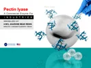 کاربرد آنزیم پکتین لیاز در مقاله علمی