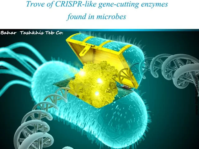 کشف گنجینه آنزیم های شبه CRISPR در میکروب ها، nature 2021