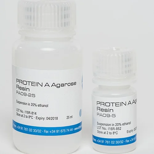 Protein A Resin